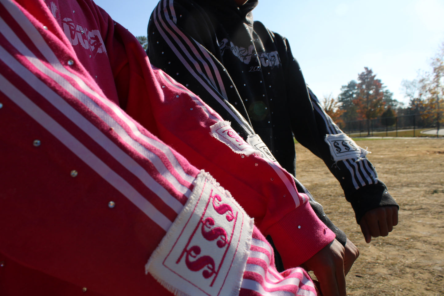 Fly Guy " Pink " Rhinestone Hoodie
